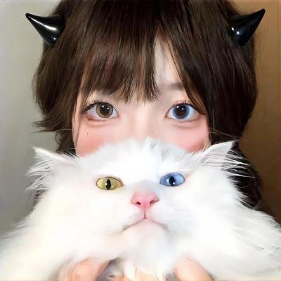 蜘蛛侠