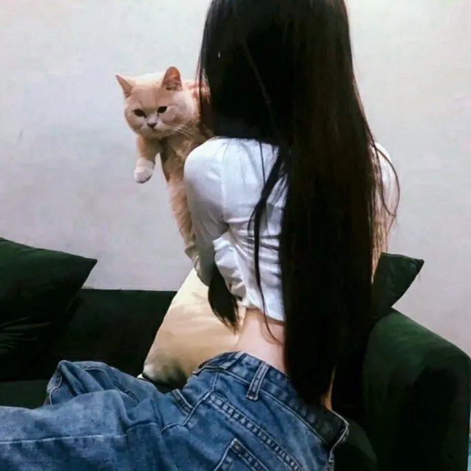 突击隆美尔